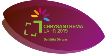 Chrysanthema Lahr | Da blüht Dir was.