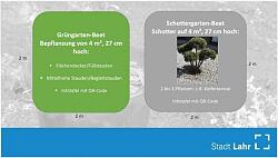 Grüngärten versus Schottergärten