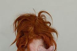 Das tapfere Schneiderlein