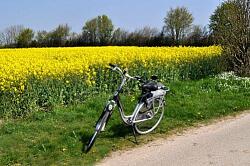Abgesagt ! Geführte Fahrrad-Tour in und um Lahr