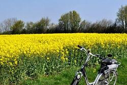 Abgesagt ! Geführte Fahrrad-Tour in und um Lahr