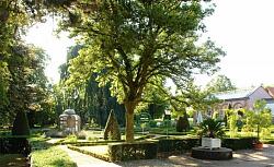 Stadtparkführung - Farbenpracht das ganze Jahr