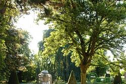 Stadtparkführung - Farbenpracht das ganze Jahr