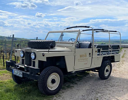 Landrover-Tour durch die Weinberge