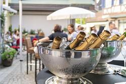 Musik & Kulinarik am Rosenbrunnen 2027 - Genuss im Sommer 