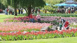 Stadtparkführung zum Tulpenfest