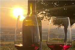 Sundowner Wein-Tour