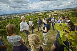 Trauben und Wein - herbstliche Weinbergwanderung