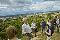 Trauben und Wein - herbstliche Weinbergwanderung