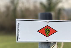 Weinwanderung - Genießer Tour über den Schutterlindenberg
