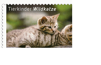 Das Bild zeigt eine deutsche 62 Cent Briefmarke aus dem Jahr 2015 zum Thema Tierkinder. Zu sehen sind zwei kleine Wildkatzen, die übereinander auf einem Stamm liegen.