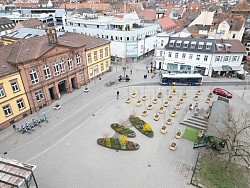 Die erstmals bepflanzten Pflanzenkübel mit Bäumen und Sträuchern auf dem Rathausplatz, 2023 realisiert  mit dem Lahrer Stadtgulden