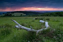 Der Langenhard, ein beliebtes Wandergebiet in Lahr mit Blick über die Rheinebene bis hinüber ins Elsass.