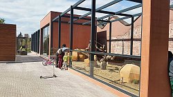 Das Bild zeigt das neue moderne Tiergehege im Stadtpark Lahr. Eine Frau, ein Kind und eine weitere Person, die durch die Frau verdeckt ist, stehen davor und schauen den Erdmännchen zu. Die Frau lehnt sich mit dem Arm auf eine halbhohe verglasten Front und schaut darüber hinweg in das Gehege. Auf dem breiten Weg davor stehen ein Roller und ein pinkfarbenes Kinderfahrrad.&#13;&#10;Das Gehege ist in den Farben rostrot und grau gehalten. Innen befindet sich ein Kletterbaum und Felsen. An der Scheibe ist ein Erdmännchen zu sehen, das hinausschaut.