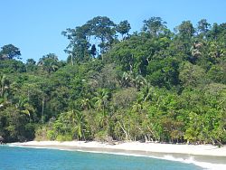 Das Bild zeigt einen Palmenstrand.