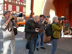 Chrysanthema 2017 / Stadt Lahr: 
Vier Journalisten nehmen bei der Vorstellung von Chrysanthemenkönigin Lea Johanna I. bei der Vorstellung vor der Treppe des Alten Rathauses die neue Königin mit ihren Kameras ins Visier. 