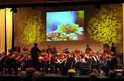 Die Stadtkapelle Lahr stimmt mit einer Chrysanthemengala auf die Chrysanthema 2017 ein.
Das Bild zeigt die Stadtkapelle auf der Bühne, in gelbes Licht getaucht, im Hintergrund ist auf eine Leinwand eine gelbe Chrysantheme projeziert.