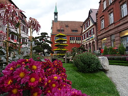 Impressionen der Chrysanthema 2017. Installation auf Urteilsplatz. 