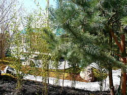 LGS 2018: Eröffnungs-Pressekonferenz Das Bild zeigt einen grünen Einblick in den Themengarten Kasama. 