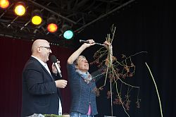 Das Foto zeigt Johanna Harter zusammen mit einem Moderator auf der Bühne. Er spricht lachend in sein Mikrofon während Johanna Harter ihre Blumen zu einem kleinen Kunstwerk bindet. 