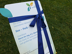 Tafel, die an die Widmung von Herrn Herrenknecht erinnert. Steht im Seepark und ist mit einem blauen Band umwickelt. 