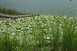 Impressionen Lahr-Tag auf der LGS