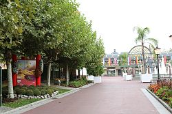 Das Bild zeigt das Lahrer Chrysanthemen-Blumenbeet am Eingang zum Europa-Park in Rust