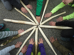 Das Bild zeigt eine Draufsicht auf die geschnitzte Stöcke von Kindern, die sie sternförmig auf den Boden gelegt haben. Zwischen die Stöcke haben die Kinder ihre Hände gelegt. 