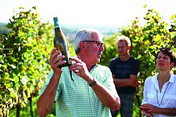 Das Bild zeigt Hans Wöhrle und Gäste bei einer Führung inmitten seiner Reben