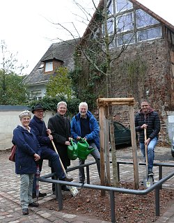 Auf dem Foto von links nach rechts: Inge Vollmer, Richard Sottru, Oberbürgermeister Dr. Müller, Altstadtrat Claus Vollmer und Stefan Gresbach mit dem neu gepflanzten Baum in der Brestenberstraße. Dr. Müller und Claus Vollmer haben jeweils eine große grüne Gießkanne in den Händen, Richar Sottru und Stefab Gresbach halten einen Spaten.