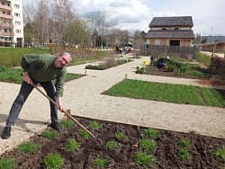 Neben einem quadratischen Bett steht Stadtarchivar Thorsten Mietzner gebückt über einer Hacke und bearbeitet das Bett. Er lächelt ganz in grün gekleidet in die Kamera. Im Hintergrund ist das römische Streifenhaus zu sehen. 