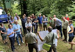 Die Teilnehmenden der Waldbegehung zum Forsteinrichtungswerk stehen auf einem Waldweg im Wald, umgeben von grünen Laubbäumen und Büschen, im Hintergrund ein blaues Auto. Die Leute schauen zu zwei Männern und einer Frau, die große Plakate hochhalten und etwas erklären