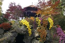 Das Bild zeigt eine Aufnahme des Pavillns , umrahmt von zahlreichen Blumen