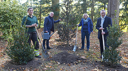 Ina Schwebke, Richard Sottru, Urte Stahl und Markus Ibert stehen um eine gepflanzte Stechpalme mit Schaufeln und Gießkanne in der Hand. 