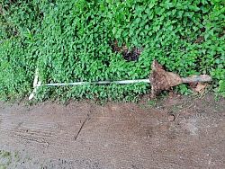 Ein herausgerissener Wanderwegweiser liegt neben dem Weg im Gebüsch.