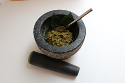 Mitmachprogramm auf der Römeranlage: Pesto selbst herstellen. 