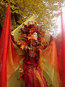 Herbstliche Stelzenläuferin