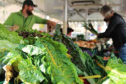 Der Lahrer Wochenmarkt zeigt die Vielfalt der lokalen Landwirtschaft