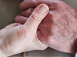 Bild auf zwei Hände zweier älterer Menschen, die sich gegenseitig halten. 