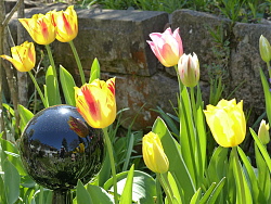 Im Garten der Familie Tacke