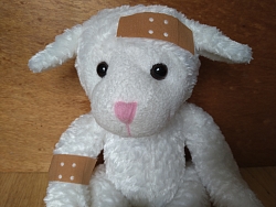 Kuschelbär mit Pflaster