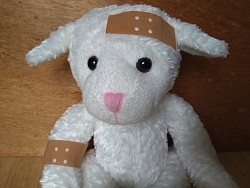 Stofftier mit Pflaster im Gesicht und am Arm