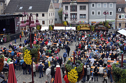 Verkaufsstände auf dem Lahrer Marktplatz bei der Chrysanthema