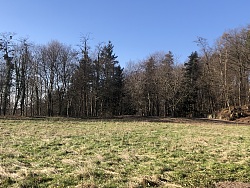 Bild vom Gelände am Altvater