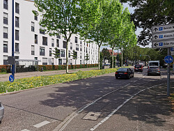 Straße, in der Mitte von einem Grünstreifen mit Bäumen und Gräsern geteilt wird. Rechts im Bild Autos an einer Ampel.