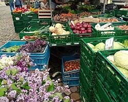 Auf dem Lahrer Wochenmarkt werden auch regionale Blumen, Eier und vieles mehr verkauft.