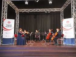 Foto vom Streichquartett