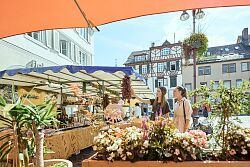 Zu Sehen sind zwei junge Personen, welche getrocknete Peperoni bestaunen und anfassen 