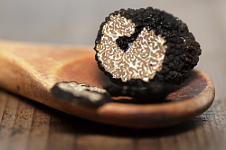 Auf der Hand ist ein dunkler Trüffel mit weiß-goldenem Inhalt zu sehen 