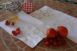 Tomaten und Tomatensamen 
